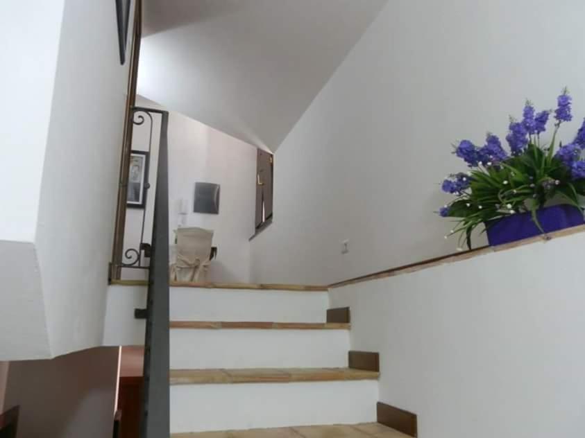 Agriturismo Ai Monaci Montano Antilia 외부 사진